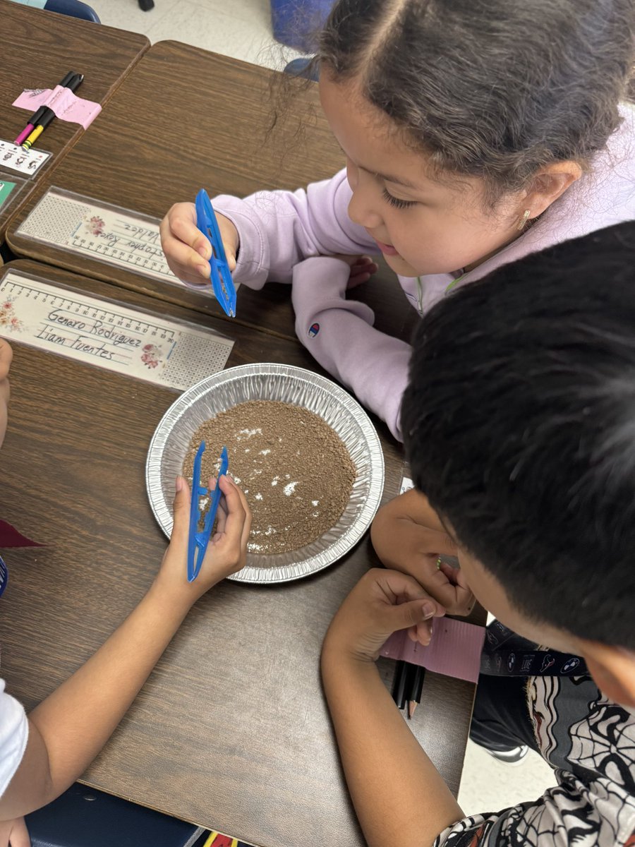 Soil investigation 🗣️🕵🏻🪨🔬