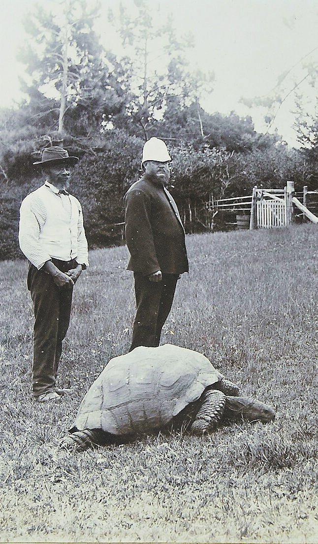 Bitcoin Thanos tweet media