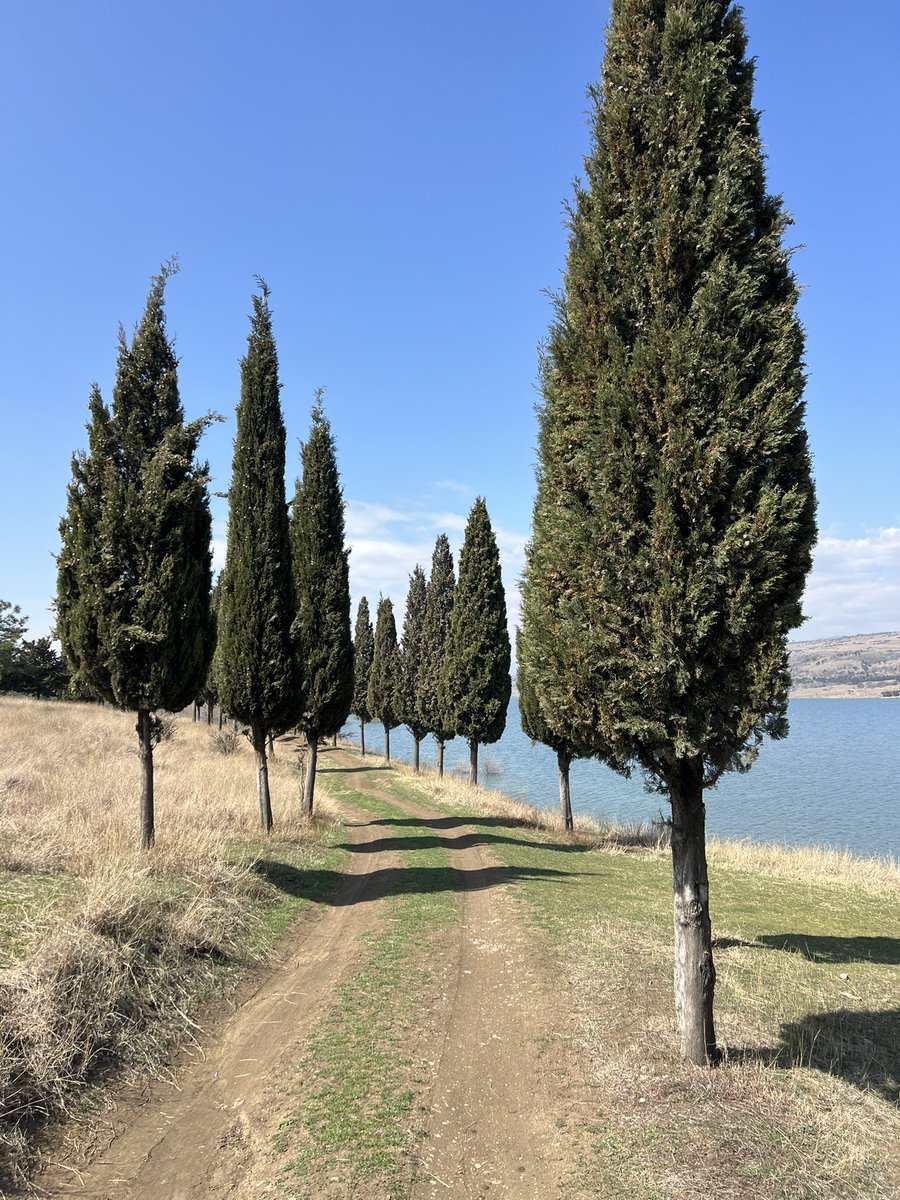 Fastbash88's tweet image. Georgia is so beautiful 🇬🇪