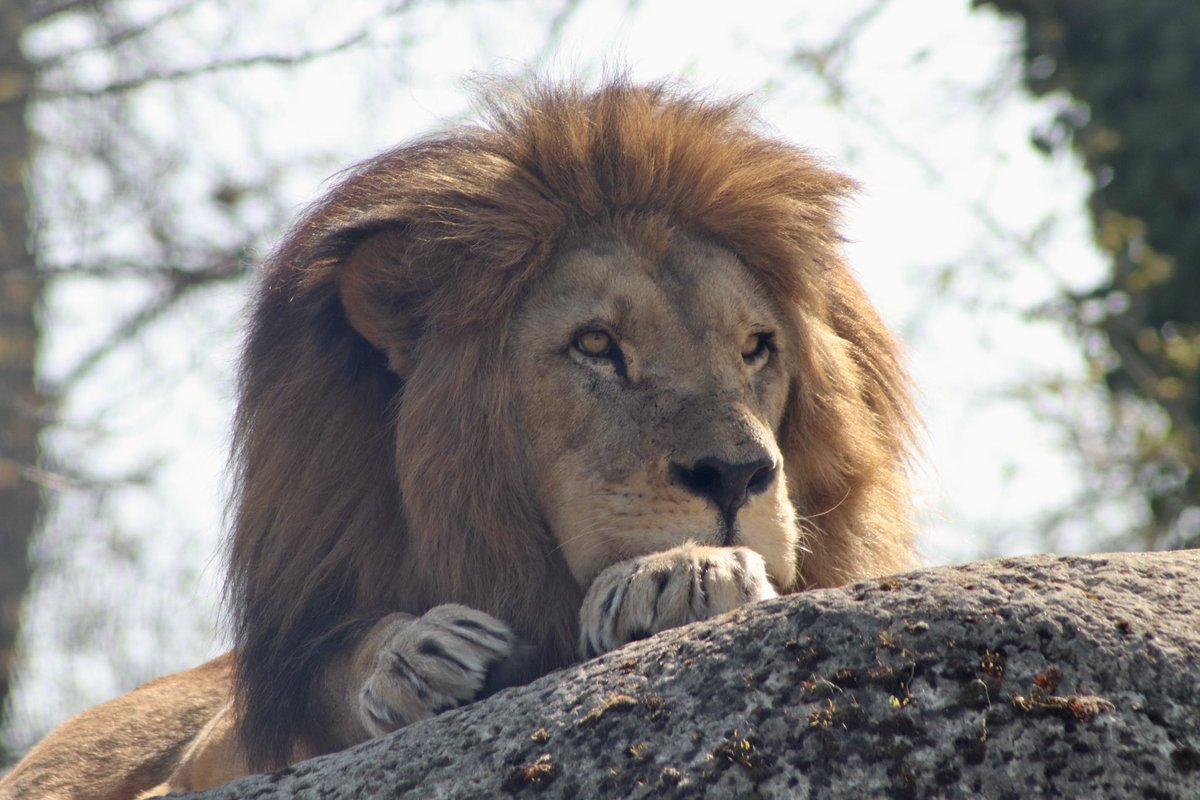 de PEYROLLE tweet media