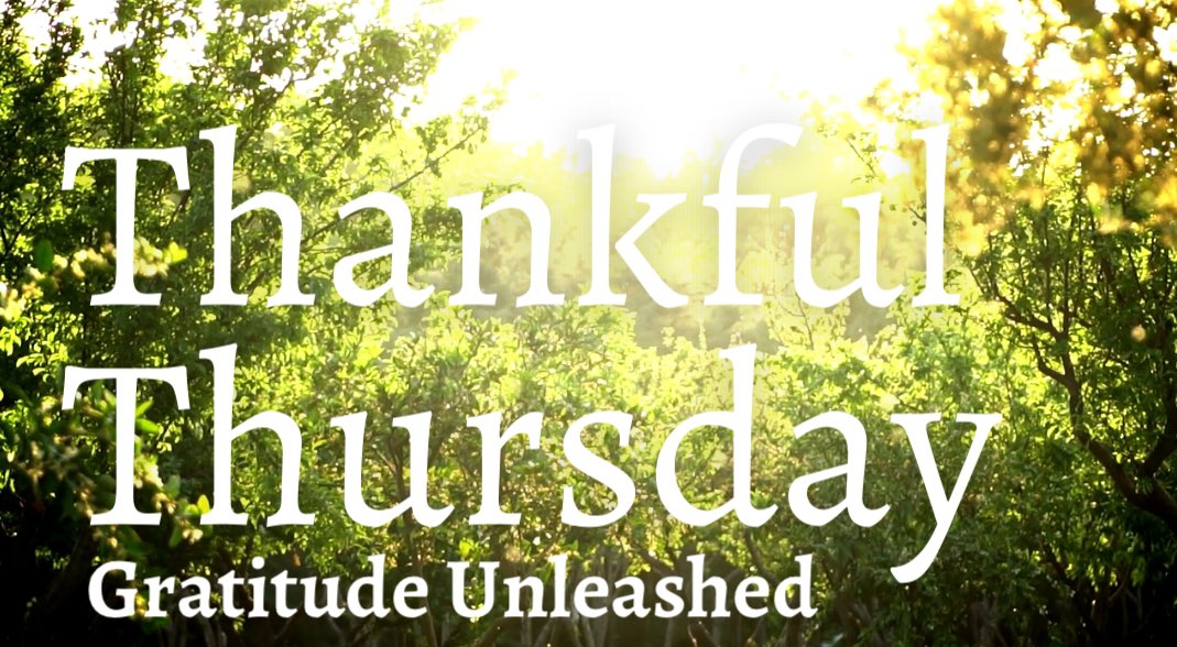 NobleMaiden15's tweet photo. Hello and welcome to Thankful Thursday!

Be thankful for yourself.  You are the greatest project you will ever work on.  
Restart, reset, and refocus as many times as you need to.  Just don't ever give up on yourself. https://t.co/dwAuHp0sVK