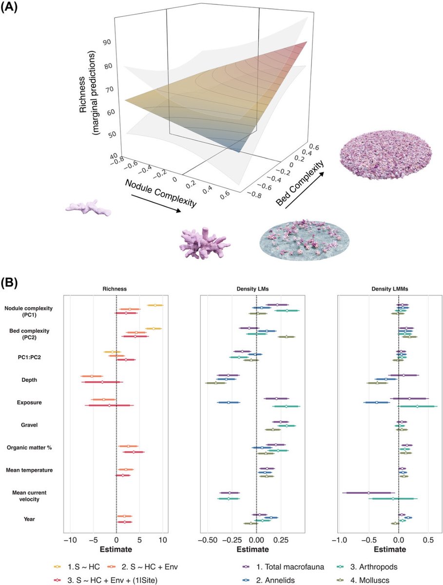 Habitat complexity promotes species richness and community stability: a case study in a marine biogenic habitat

doi.org/10.1111/oik.10…

#ComplexityDiversityRelationships #FoundationSpecies #HabitatDiversity #Rhodolith #StructuralComplexity