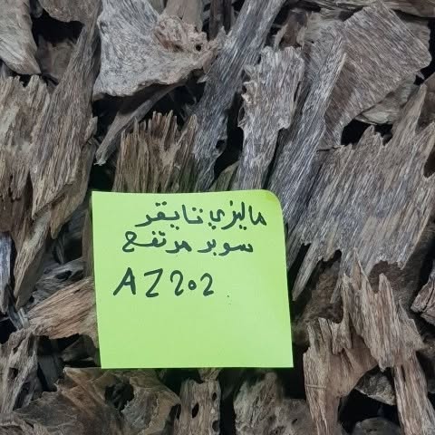 lyali987 tweet picture