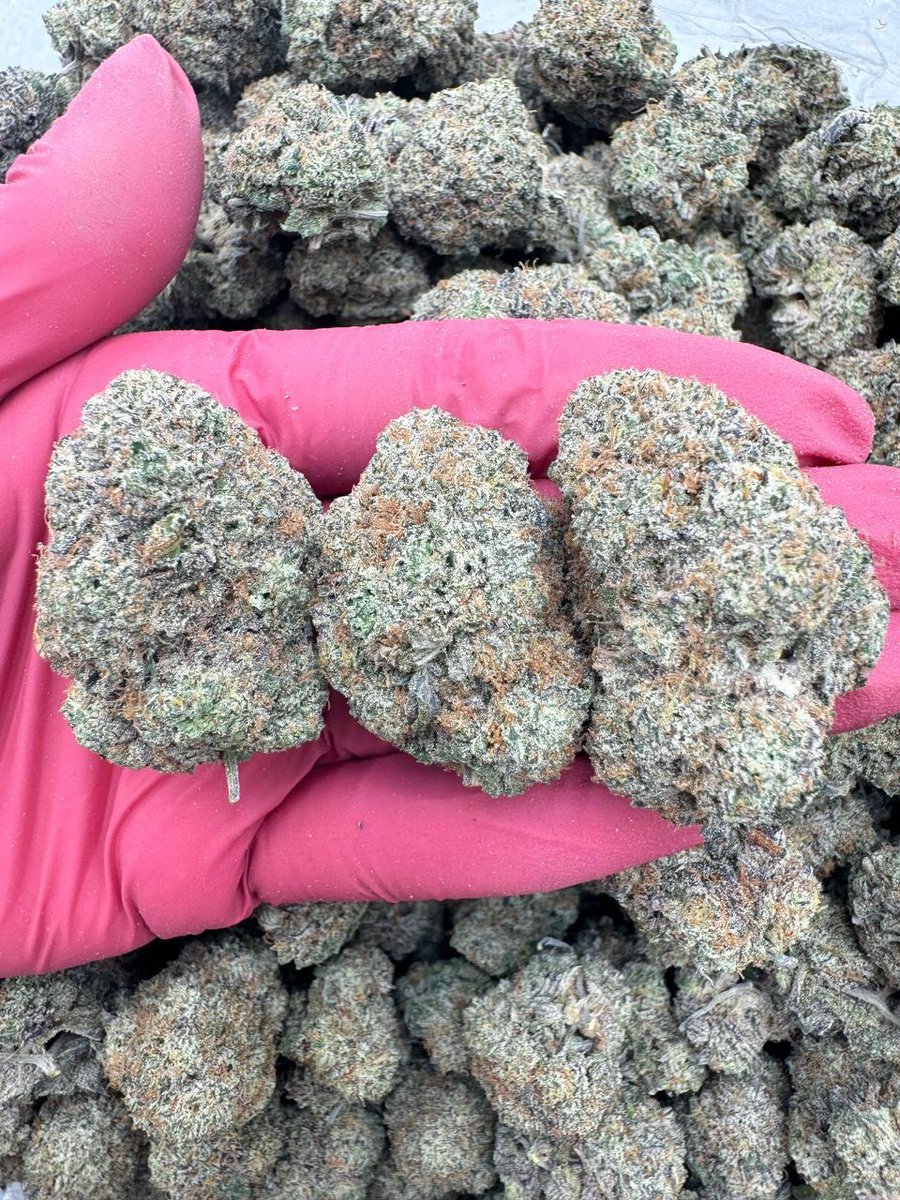 LiftedleafHQ's tweet photo. Cookie Monster 🍪🍪 https://t.co/m5YulO22Rs
