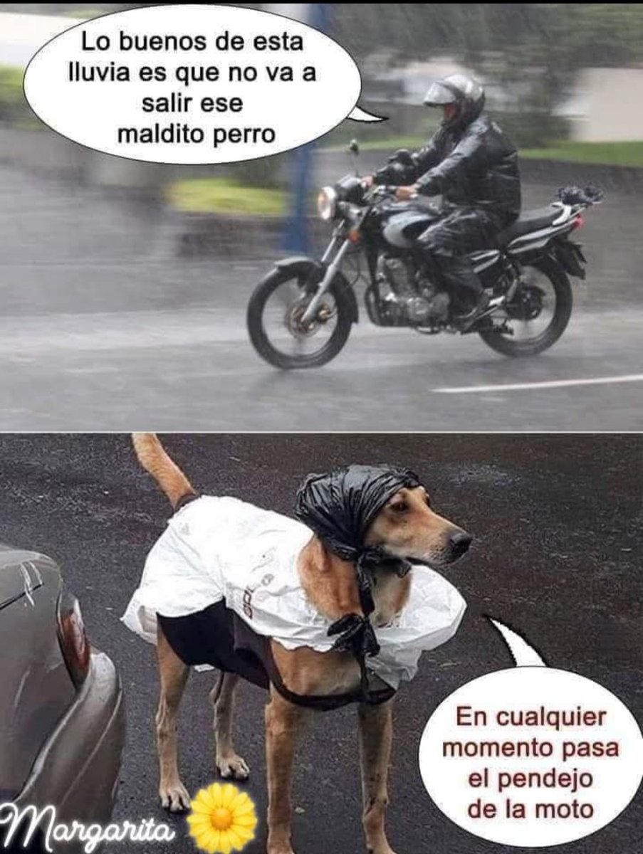 🤣🤣🤣🤣🤣🤣🤣🤣🤣😀