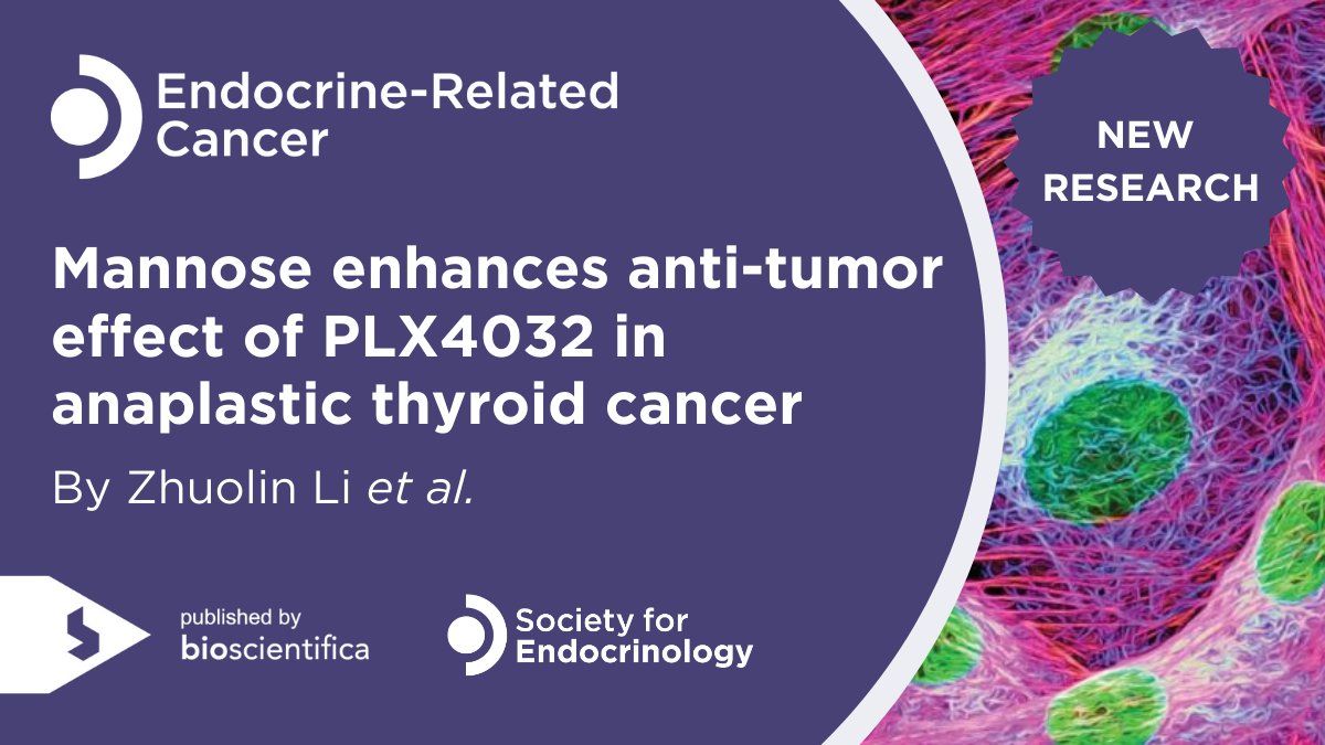 Read this open-access study by Zhuolin Li et al., investigating whether #mannose, known to selectively inhibit #thyroid cancer, enhances PLX4032 efficacy.
➡️ doi.org/10.1530/ERC-24…
