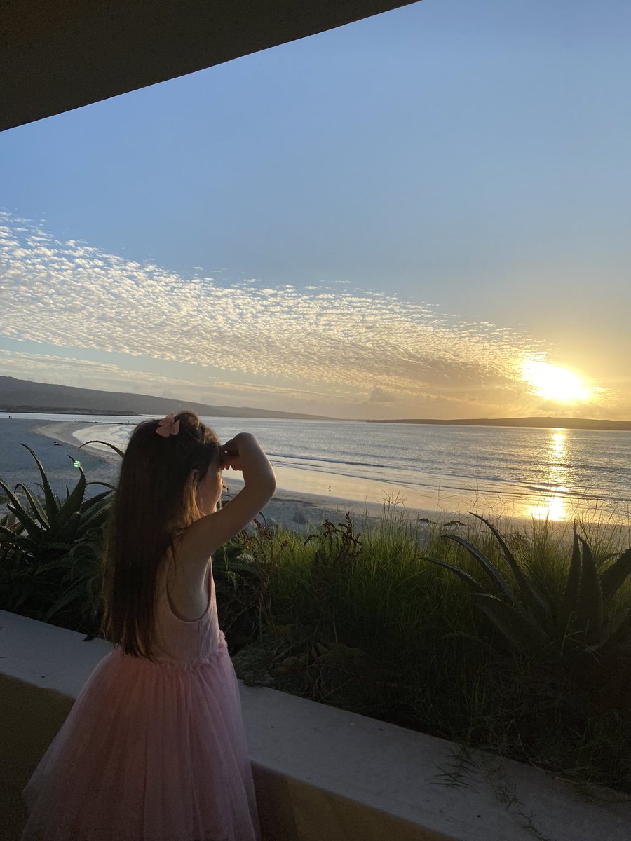 Andy Edwards tweet media