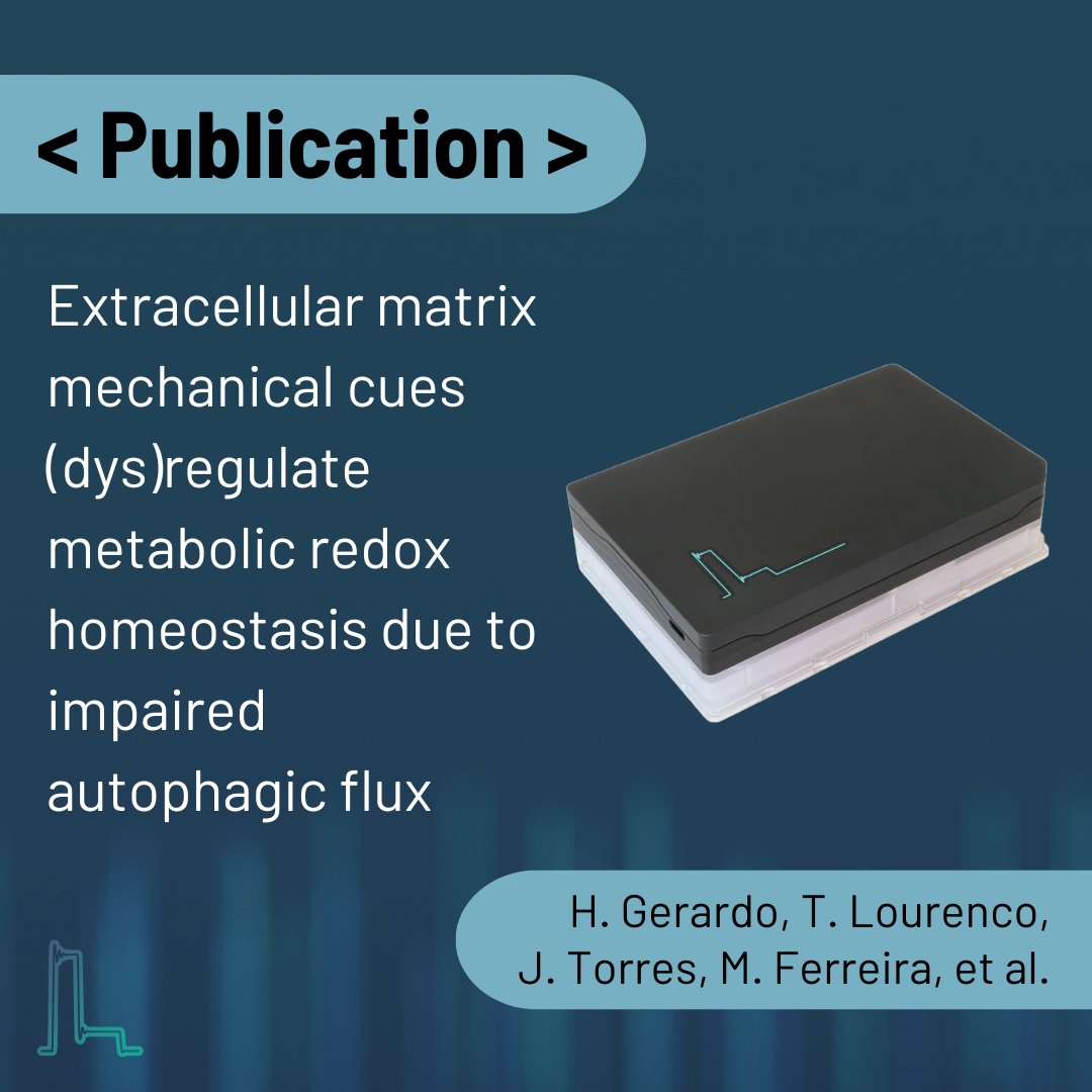 lucidsci's tweet photo. In the study "Extracellular Matrix Mechanical Cues (Dys)regulate Metabolic Redox Homeostasis Due to Impaired Autophagic Flux" by Heloísa Gerardo et al., #Resipher technology was employed to measure oxygen consumption rates (OCR) in mouse hippocampal neuronal (HT22) cells under varying extracellular matrix (ECM) stiffness conditions.

The study revealed that prolonged exposure to soft ECM conditions (1–2.5 kPa) disrupted mitochondrial bioenergetics, reduced redox homeostasis, and impaired autophagic flux in HT22 cells. SH-SY5Y cells and primary mouse neurons were also used to validate the broader effects of soft ECM on neuronal metabolism, mimicking aspects of neurodegenerative disease pathology and offering a framework for improved in vitro disease modeling.  View the publication here >>> https://t.co/YkfjDQKwPs

#Neurobiology #Mitochondria #Autophagy #ECM #NeurodegenerativeDiseases #MetabolismResearch