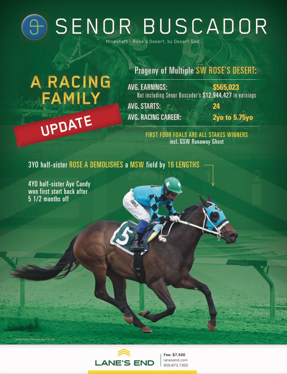 An exciting update for the family of SENOR BUSCADOR - standing at <a href="/LanesEndFarms/">Lane's End</a> - as his 3-year-old half-sister Rose A demolishes a MSW field by 16 lengths 🥇 

Quite the racing family! 🏆