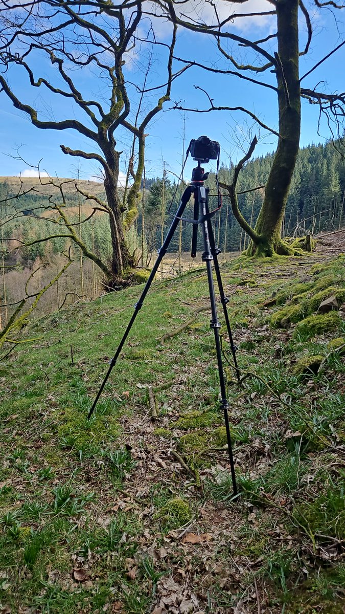 ArtistRob's tweet image. 