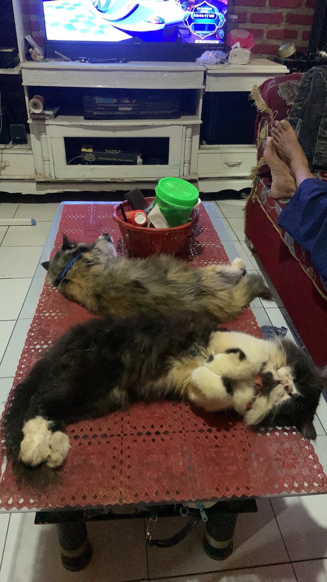 Boogie Sakti (@saktimedisyah) on Twitter photo 