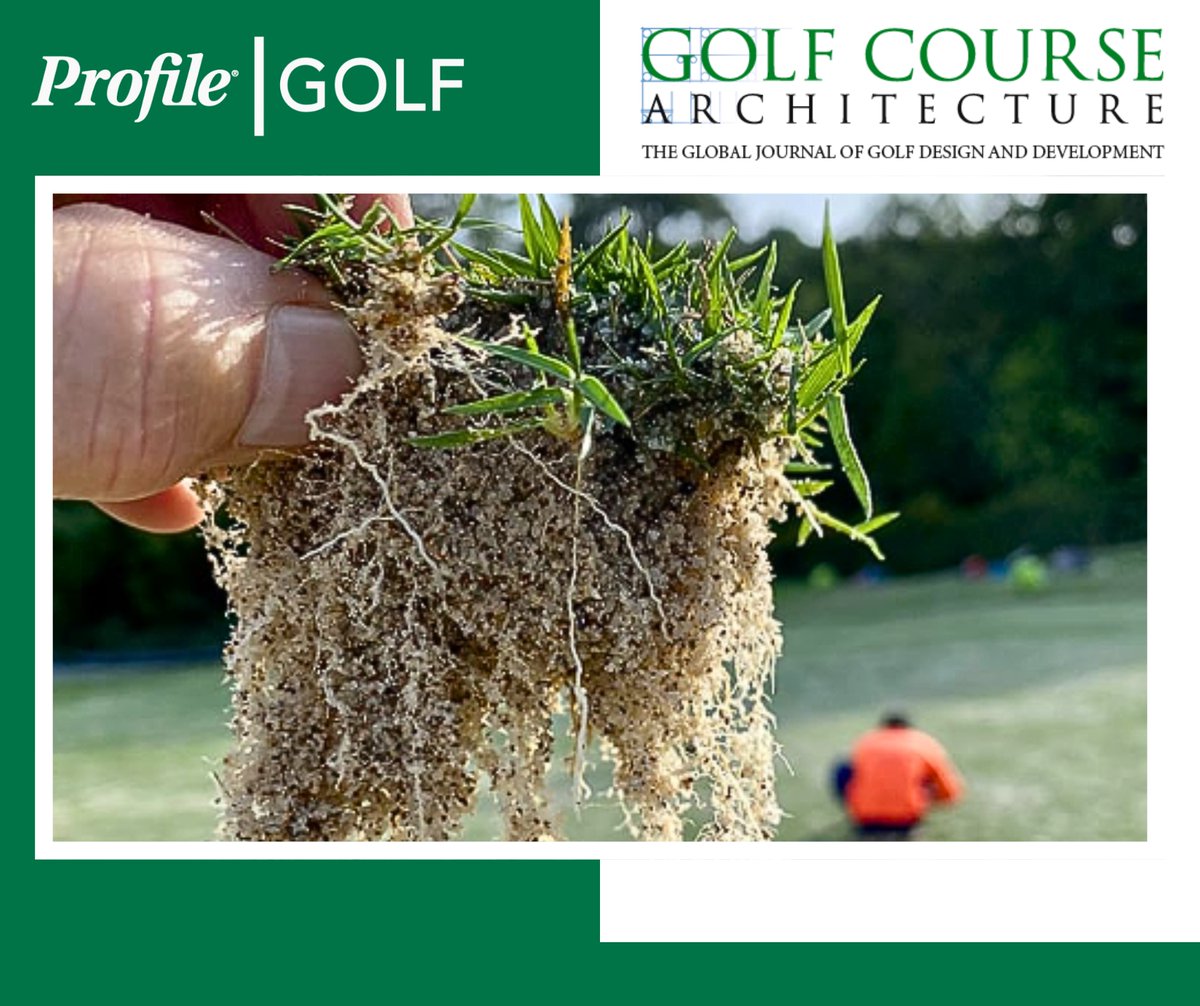 ProfileGolf's tweet image. Profile® Porous Ceramic Greens Grade™ was recently highlighted in Golf Course Architecture (GCA) for its role in the renovation of The Singapore Island Country Club (SICC).
Check out the article and see how our solutions could work for your course: bit.ly/41U2LI0
