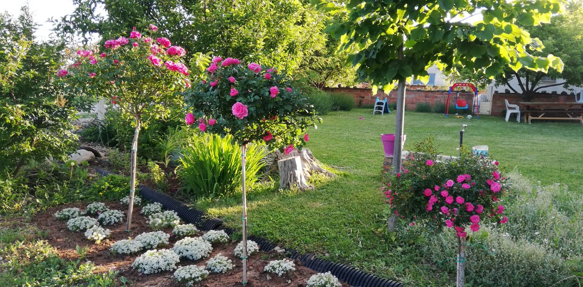 ᅠ ᅠ (@greendreaams) on Twitter photo 