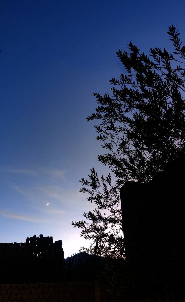 PadmalhamoL's tweet image. ལམ་རིང་པོ་ཞིག་ལ་ཀྱག་ཀྱོག་བརྒྱ།
ཚེ་རིང་པོ་གཅིག་ལ་སྐྱིད་སྡུག་བརྒྱ།
#extract #fpy