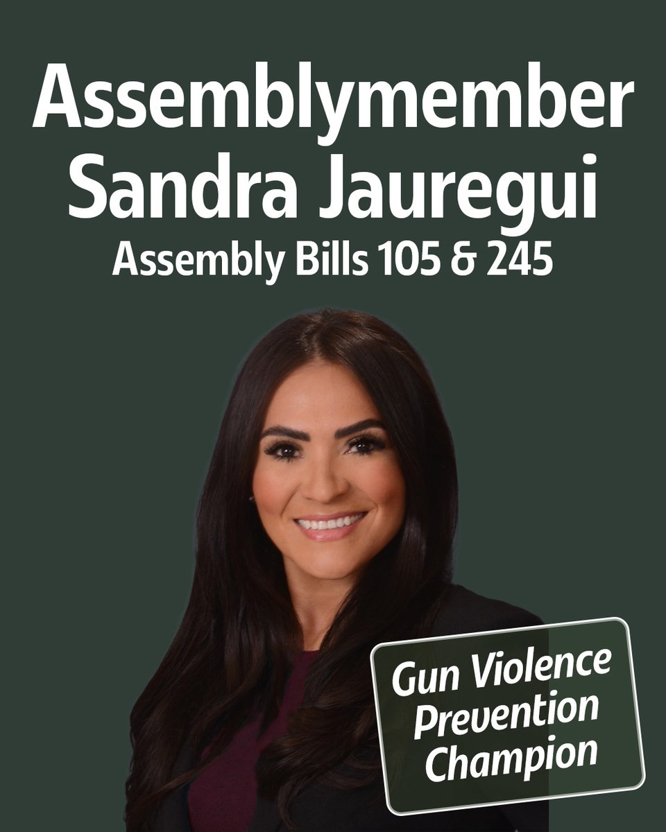 BattleBornProg's tweet photo. Assm. Majority Leader @sandra4nv and Sen. @pazina_julie are presenting important gun violence prevention bills today!
✅ no guns at polling places #AB105
⬆️ age 21 to buy a semiautomatic assault weapon #AB245
✅ no guns for people convicted of misdemeanor hate crimes #SB89
#NVLEG https://t.co/b0jb7GZmPc