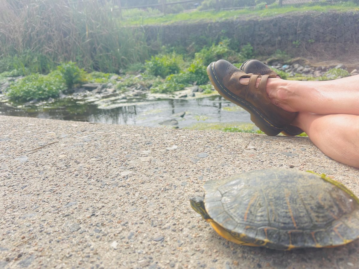 Moonlight Beach, Encinitas, CA