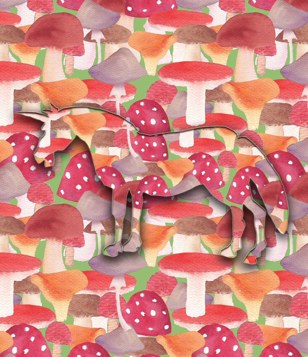 NEW DROP
Collab with <a href="/XLab2dA/">XLab2dA</a>

🍄Mushrooms for the Unicorn of Happiness

In March, when the earth wakes up from its winter sleep and the air is filled with the shiver of the first warm winds, mushrooms for the Unicorn of Happiness bloom in mysterious forests..(read ALT)

1xtz🔗⤵️