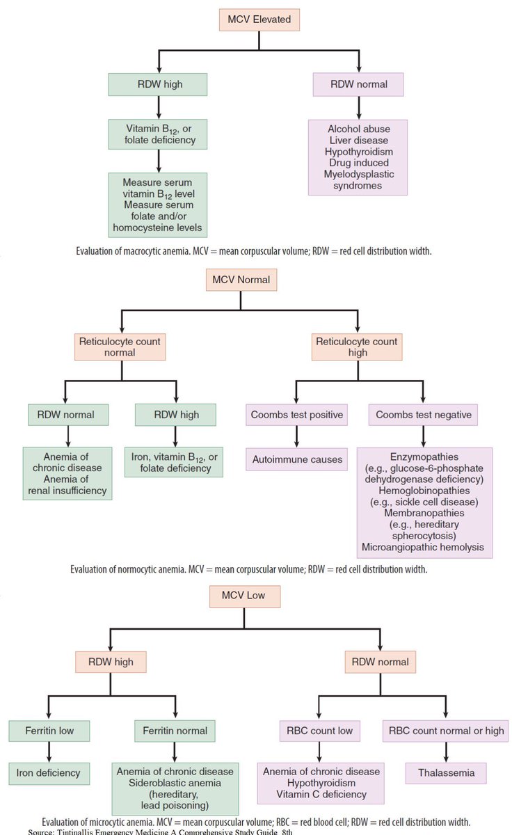 🩸Approach to anemia

<a href="/ManualOMedicine/">Manual Of Medicine</a>