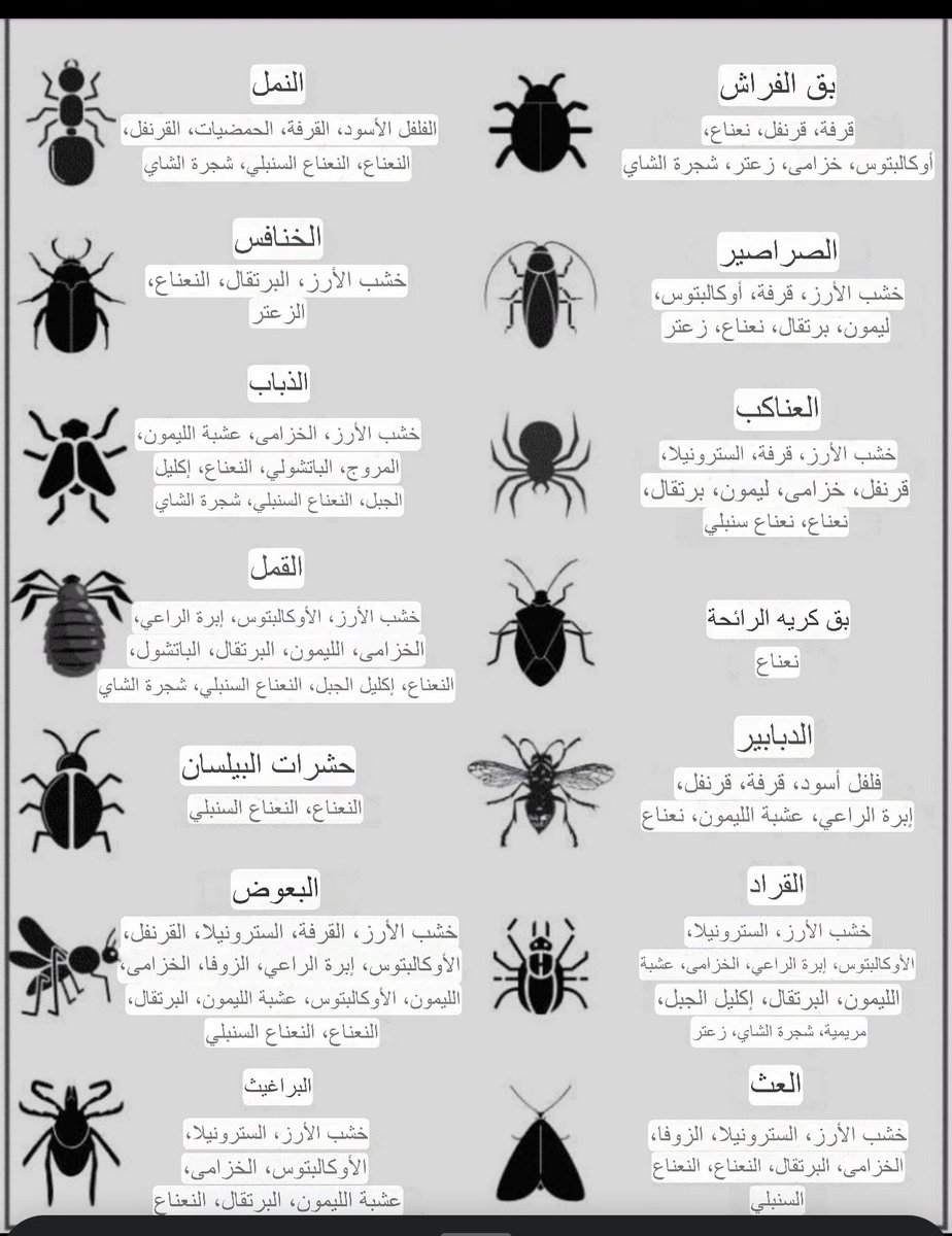 افضل الزيوت مقاومه لبعض الحشرات