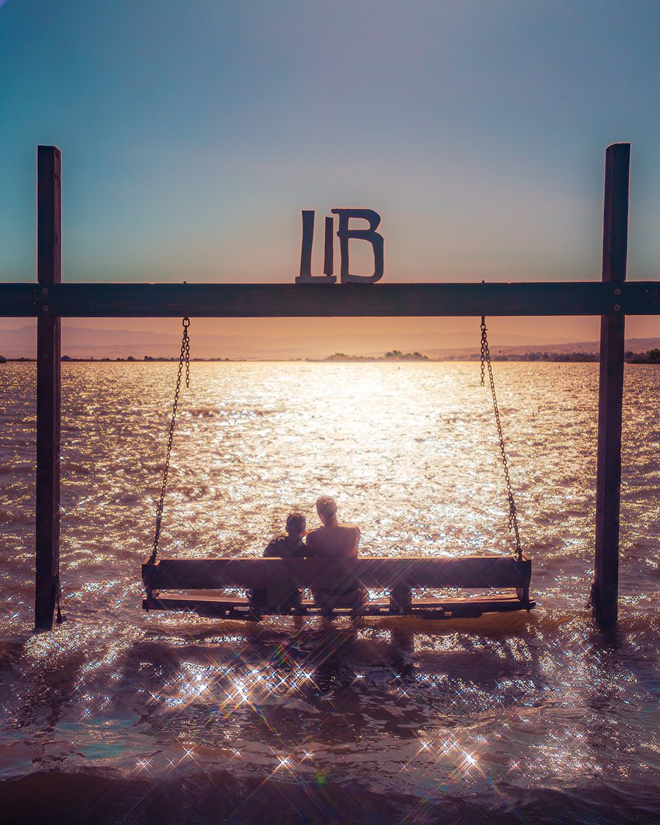 Electric Family™ tweet media