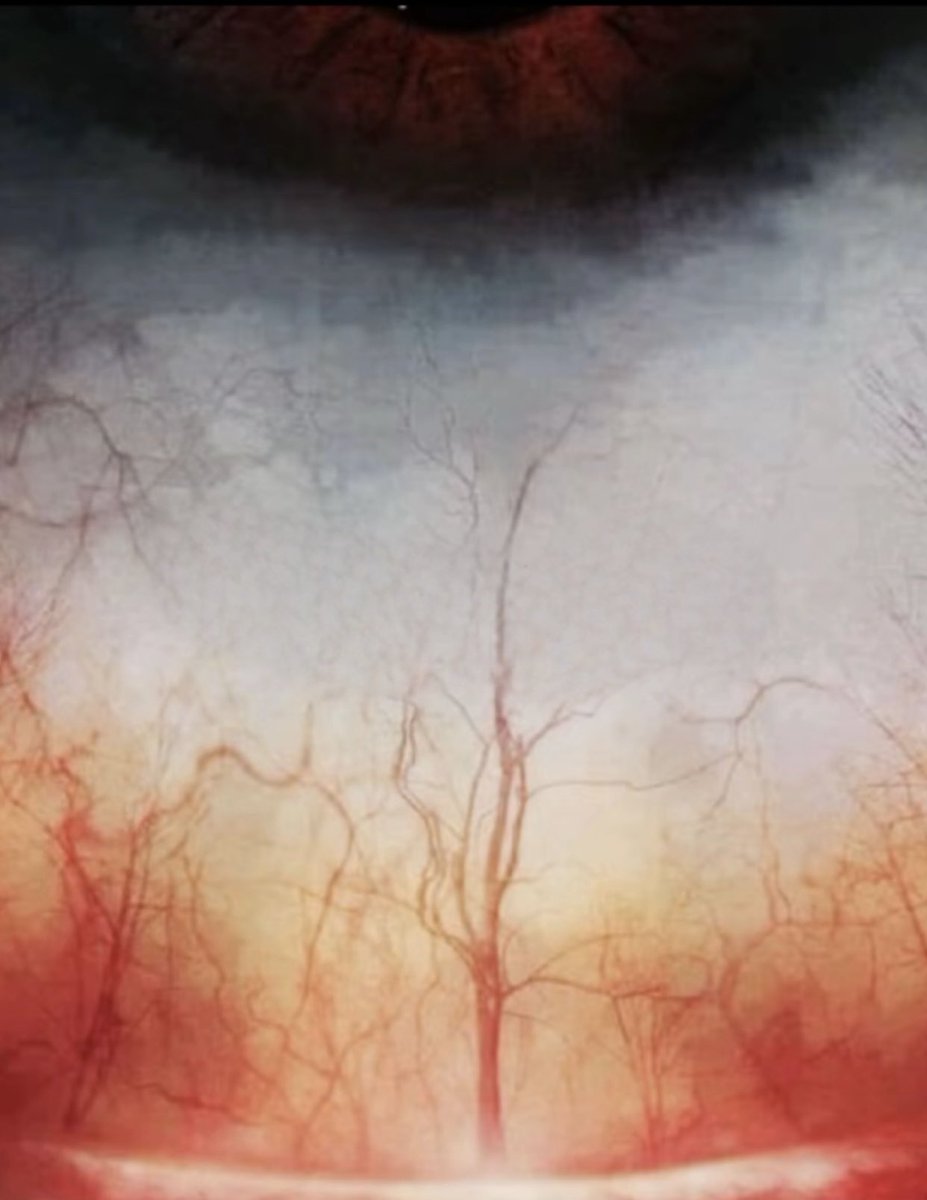 شيب عيني لياا طرّوك والحال زيني
شف عيوني بعد حبك ما ضيفان جوها

ساهر الليل كله ، نوم ، عيا يجيني
لا حسافه عليك ولا على من طروها

اقعد اشوف حرفك وسط شريان عيني
وانته تشوف ضلعان الشجر ماسقوها