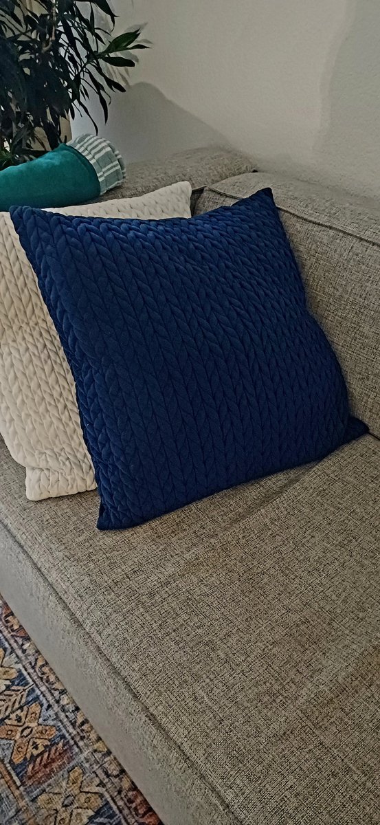 And the next thing, you can't put the toothpaste back into the tube.

Packing up my life, taking a leap into the unknown. Looking around my apartment, wondering what I will take with me.

Bodhi's blue cushion goes where I go. Carry on luggage.