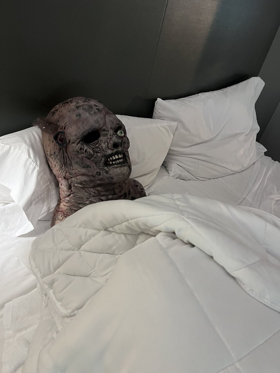 RickyGlore's tweet image. TOXIE got a great sleep at Hampton Inn Florence, KY

Thanks for housing @Troma_Team @lloydkaufman when he was in town for the premiere of Troma’s new film SWEET MEATS!

#socialmediapromo #socialmediainfluencer #hotelsandresorts #ignitehospitalityservices #hamptoninnflorenceKY