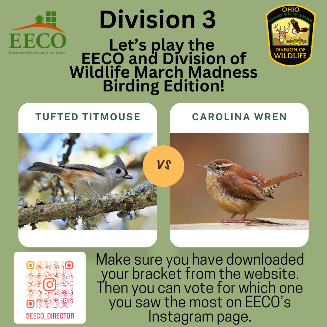directorEECO's tweet image. Who will make it to the Division 3 FINAL FOUR? 😳
Play along and let us know which bird you saw more by voting on our Instagram page. 
To learn about our March Madness Bird Brackets, go to: eeco.wildapricot.org/page-1786411

#getoutside #marchmadnessbirdbracket #BirdingFun