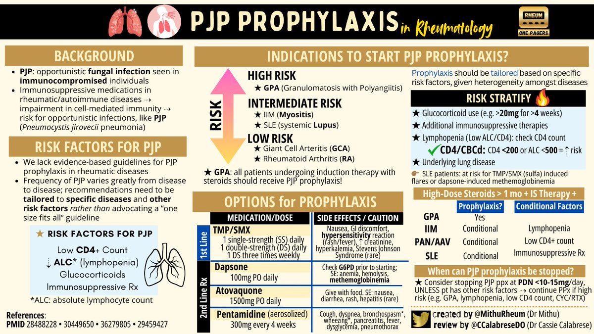Mithu Maheswaranathan, MD (@mithurheum) on Twitter photo 🆕 PJP Prophylaxis in #Rheumatology 🫁
Created with / Review by <a href="/CCalabreseDO/">Cassandra Calabrese</a>
🔹Discuss risk factors for PJP infection
🔹Risk Stratify: CD4 count <200 or ALC <500 = ⇡Risk
🔹Review Treatment options and when to stop PPx?
#RheumX #RheumTwitter #PulmTwitter #PJP 🆕 PJP Prophylaxis in #Rheumatology 🫁
Created with / Review by <a href="/CCalabreseDO/">Cassandra Calabrese</a>
🔹Discuss risk factors for PJP infection
🔹Risk Stratify: CD4 count <200 or ALC <500 = ⇡Risk
🔹Review Treatment options and when to stop PPx?
#RheumX #RheumTwitter #PulmTwitter #PJP