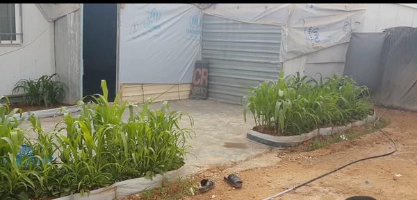 Joel©✨ (@joel_acidri) on Twitter photo Nature has the power to heal! creation of green spaces for trauma survivors and in refugee settlements across the country can help refugees heal from trauma.#naturetherapy <a href="/OPMUganda/">Office of the Prime Minister - Uganda</a> <a href="/UNHCRuganda/">UNHCR Uganda</a> Nature has the power to heal! creation of green spaces for trauma survivors and in refugee settlements across the country can help refugees heal from trauma.#naturetherapy <a href="/OPMUganda/">Office of the Prime Minister - Uganda</a> <a href="/UNHCRuganda/">UNHCR Uganda</a>