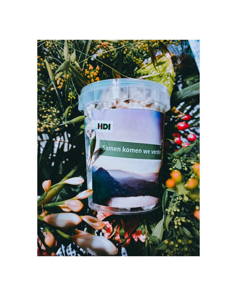 Today, I officially closed the 📖 on my time at HDI Insurance ('23-'25) 📖 Huge thanks to everyone at HDI for the great time and experiences!  

Next stop: Marketing at Poppodium Boerderij ('25–) 🚀 Excited for this new chapter!