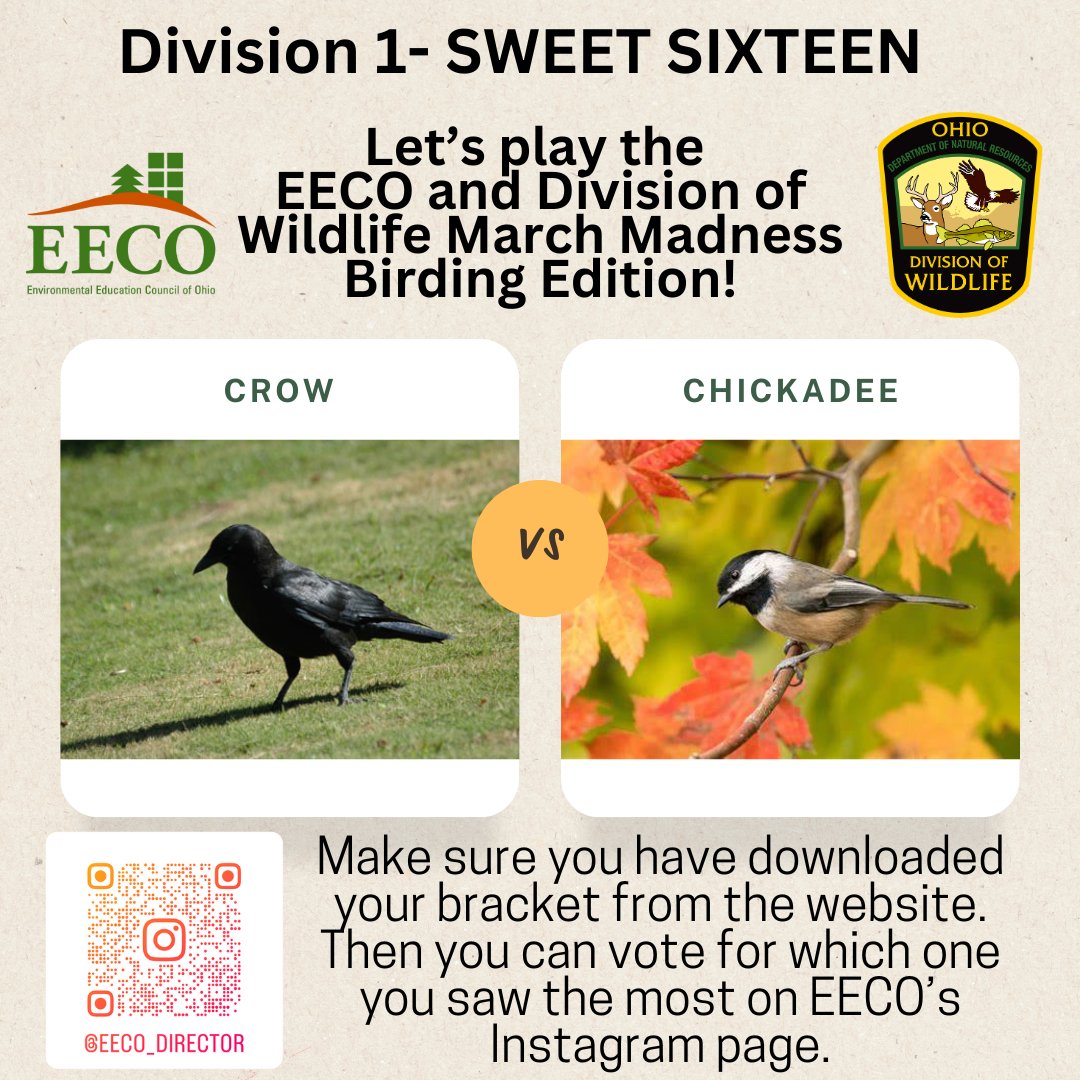 directorEECO's tweet image. It is time for the Division 1 SWEET SIXTEEN 😳 Who will make the ELITE EIGHT? 😁 Play along and let us know which bird you saw more by voting on our Instagram page. 
To learn about our Bird Brackets: eeco.wildapricot.org/page-1786411

#getoutside #marchmadnessbirdbracket #BirdingFun