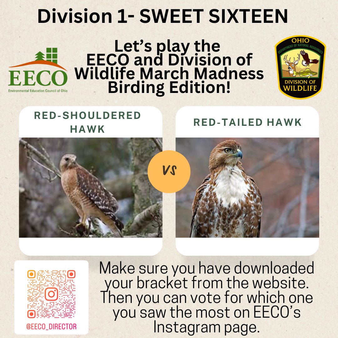 directorEECO's tweet image. It is time for the Division 1 SWEET SIXTEEN 😳 Who will make the ELITE EIGHT? 😁 Play along and let us know which bird you saw more by voting on our Instagram page. 
To learn about our Bird Brackets: eeco.wildapricot.org/page-1786411

#getoutside #marchmadnessbirdbracket #BirdingFun