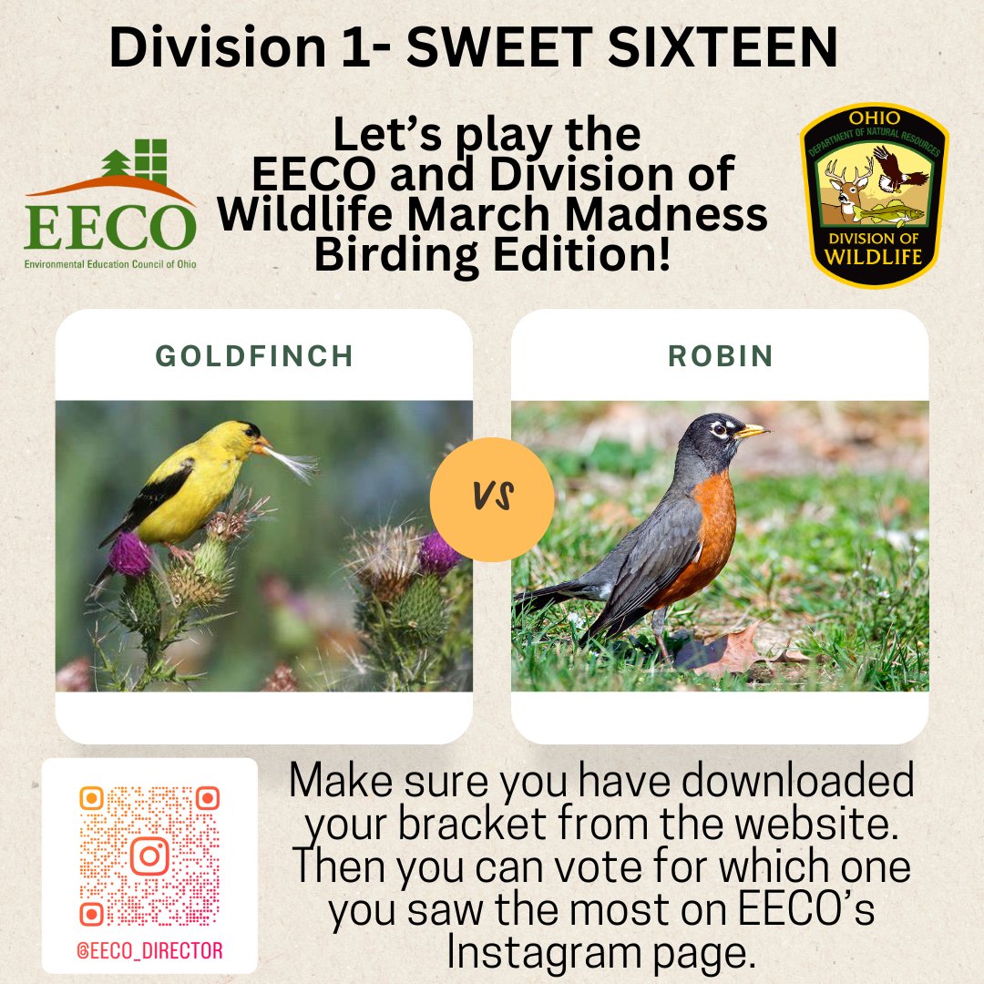directorEECO's tweet image. It is time for the Division 1 SWEET SIXTEEN 😳 Who will make the ELITE EIGHT? 😁 Play along and let us know which bird you saw more by voting on our Instagram page. 
To learn about our Bird Brackets: eeco.wildapricot.org/page-1786411

#getoutside #marchmadnessbirdbracket #BirdingFun
