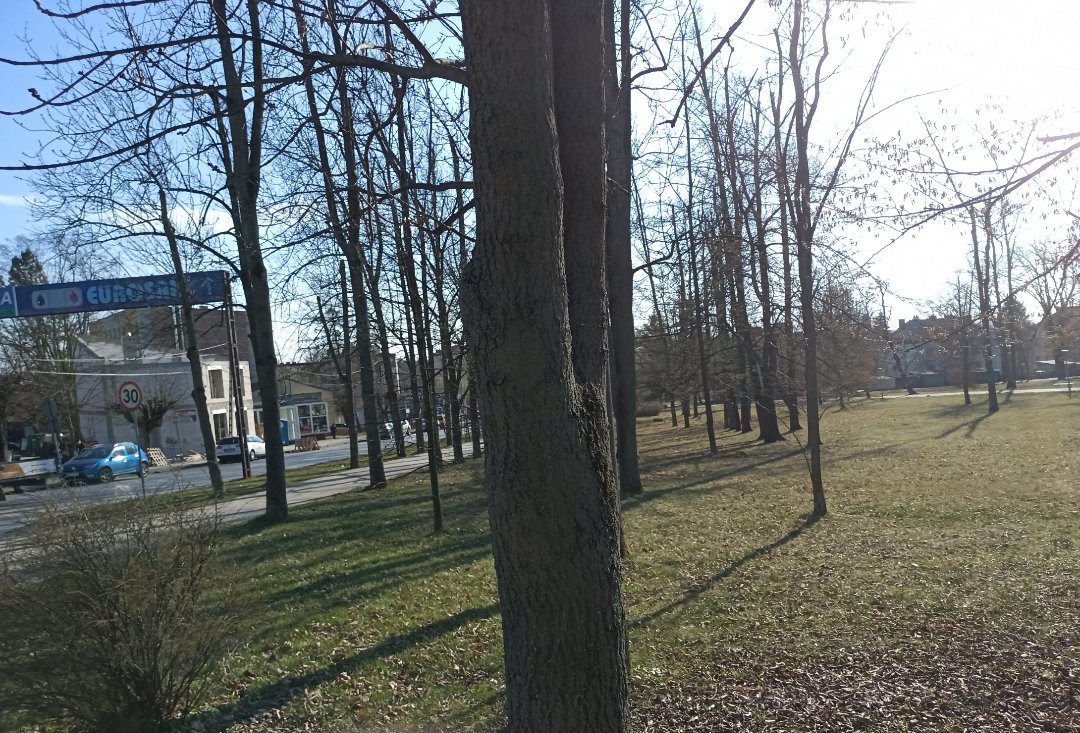 FivebearFitness's tweet photo. #natura Zamiast scrollować bez celu, powinniśmy wyjść ze znajomymi na zewnątrz, spotkać się chociażby po to, by odkleić się od ekranów. https://t.co/sQ2ycaInBg