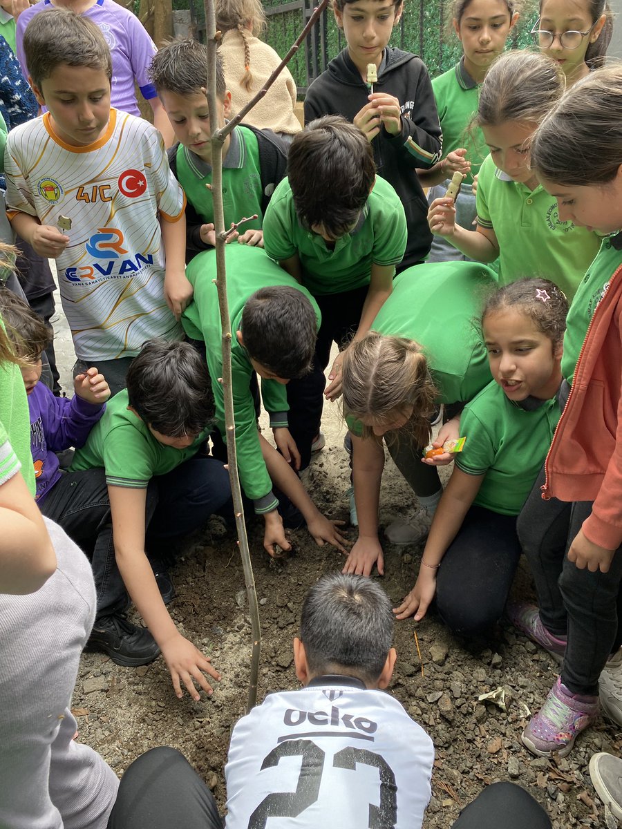 omurbariis's tweet photo. Emlak Konut Ergene Vadisi İlkokulu
4/C Sınıfı ORMAN HAFTASI nı kutladı. Sınıf velimiz Ozan Kıvanç, orman ve peyzaj konusunda bilgiler verdi. Okul bahçemize ıhlamur ağacı diktik. Teşekkürler #kıvanç_peyzaj
#EmlakErgene https://t.co/gkXuNMjsI0