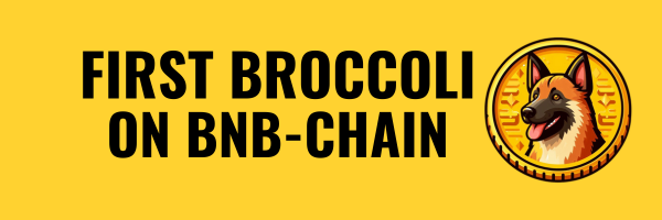 Congratulations to the #714 #Broccoli community

Just remember we were the first deployed on BNB chain 🥦