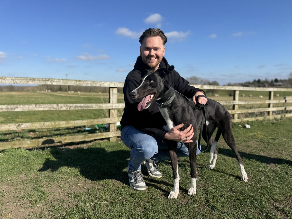 Introducing the second greyhound of the BWR Greyhound Syndicate: Start The Mixer (Micky) who is in training with leading Towcester trainer Frank Gray.

He’s only 22 months old but has been putting in very quick times without having much training yet. He is very exciting and will