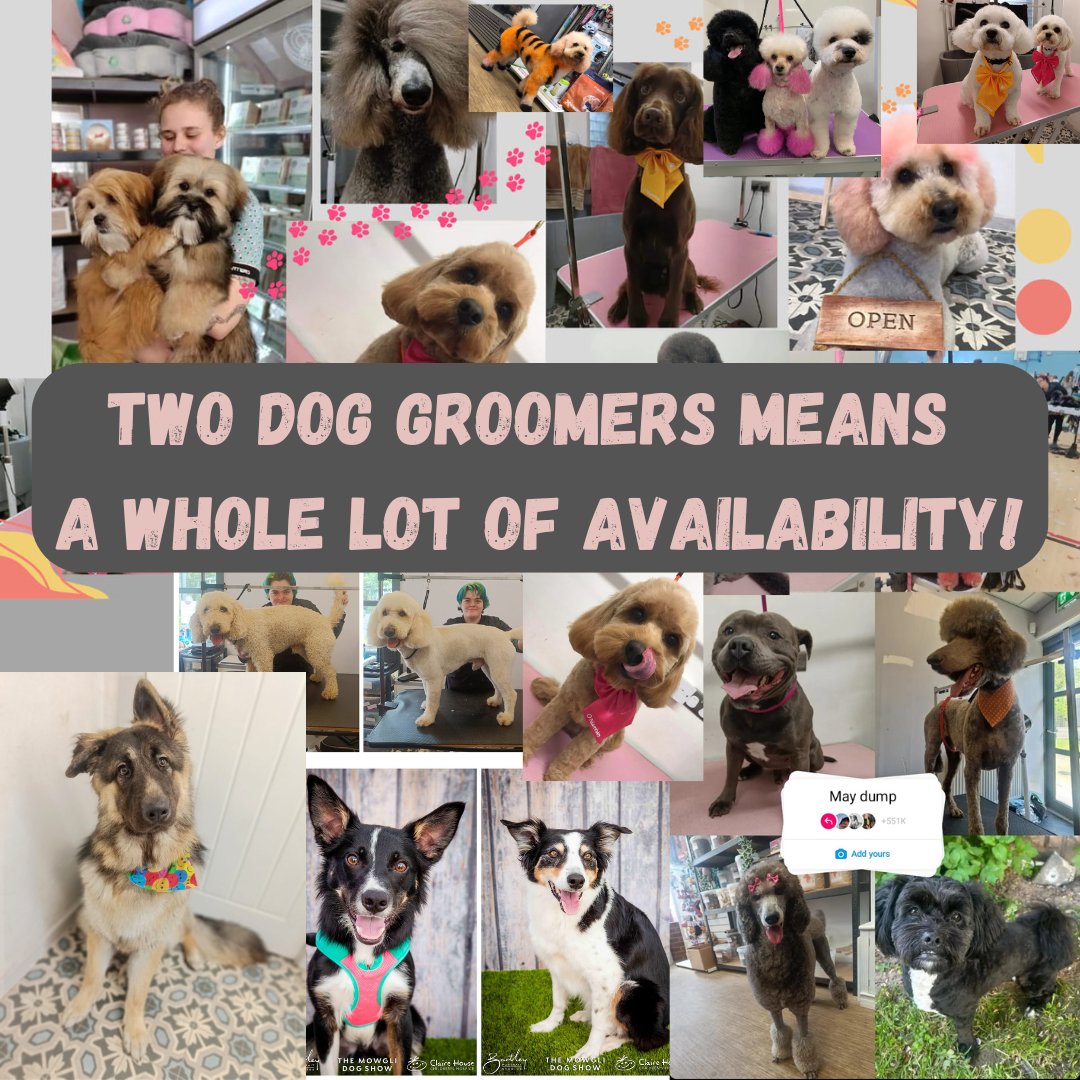 Book in now by giving us a call!

#happydog #dogoftheday #doglovers #dogslife #naturalpetshop