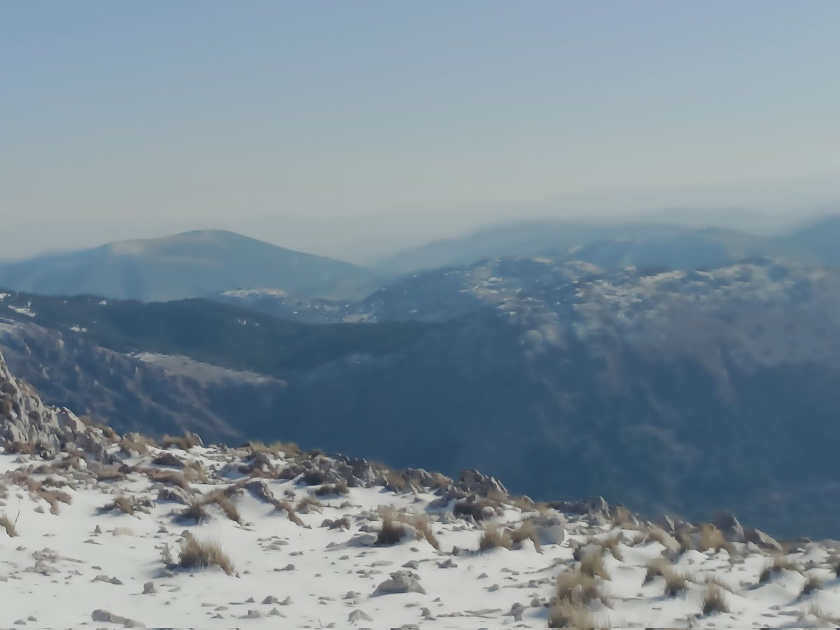 Peter (@pedrorodrguezj7) on Twitter photo 