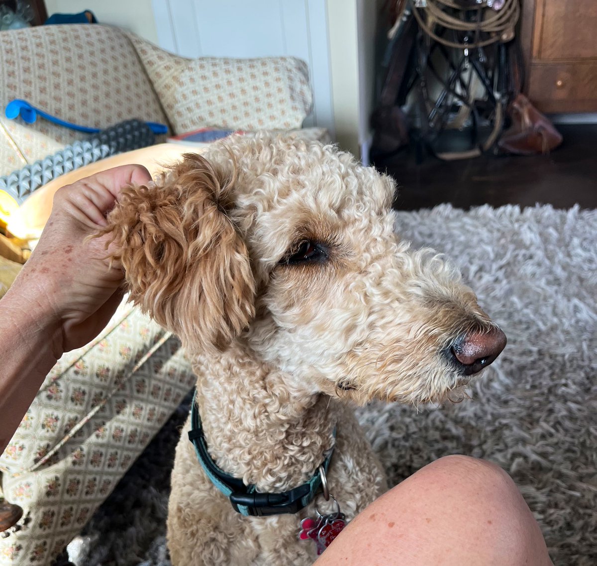 RachaelakaRach's tweet image. His memory was buried when they died; one from anger and hate, the other of Love and admiration
-Which was truth or did either matter when they all transformed into vapors of smoke; like clouds of mist. What leaves: nothing really just Be Time Windows
#DawnSpeaks #Stopchasinglive