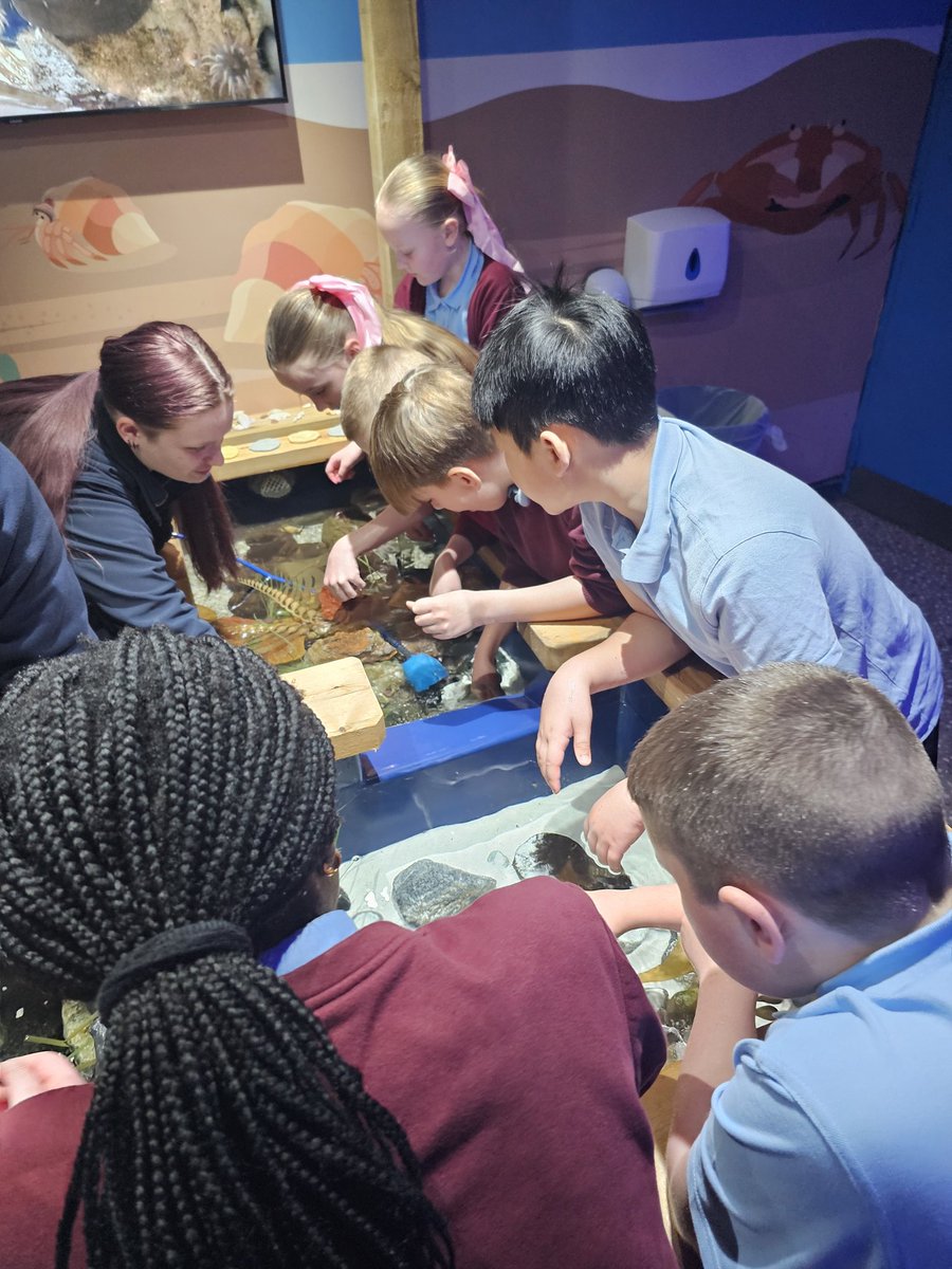 Mrs Bennett (@mrsbenn68705972) on Twitter photo P7/6 had a brilliant day out at SeaLife Loch Lomond! The kids enjoyed seeing the otters being fed, exploring the rock pool, and watching the sharks. We also managed a quick play at the beach and swing park.
<a href="/StRoseOfLimaPS/">St Rose of Lima Primary</a> #legoleague #submerged #conservation #saveouroceans P7/6 had a brilliant day out at SeaLife Loch Lomond! The kids enjoyed seeing the otters being fed, exploring the rock pool, and watching the sharks. We also managed a quick play at the beach and swing park.
<a href="/StRoseOfLimaPS/">St Rose of Lima Primary</a> #legoleague #submerged #conservation #saveouroceans