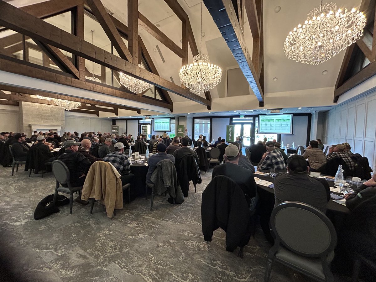 Holly Loucas tweet media