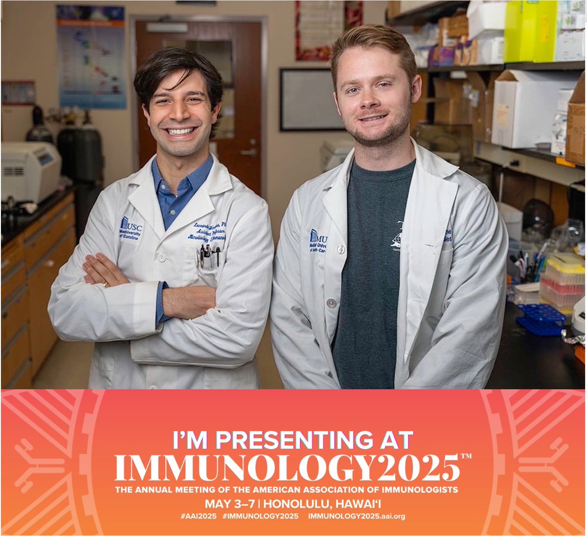 Leonardo Ferreira tweet media