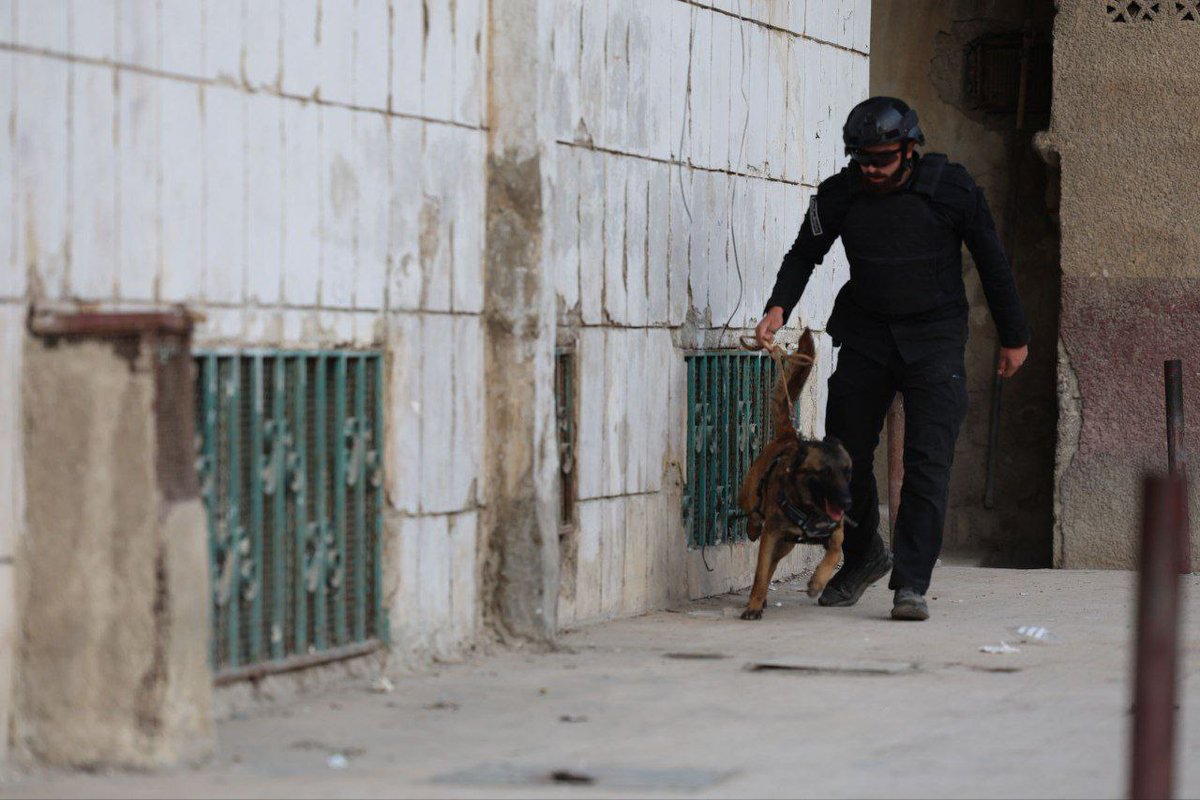 #عاجـــــــــــــــــــــــل 
القبض على عدد من ميليشيات حزب اللات في منطقة السيدة زينب بعد تخطيطهم لاعمال ارهابية في المنطقة