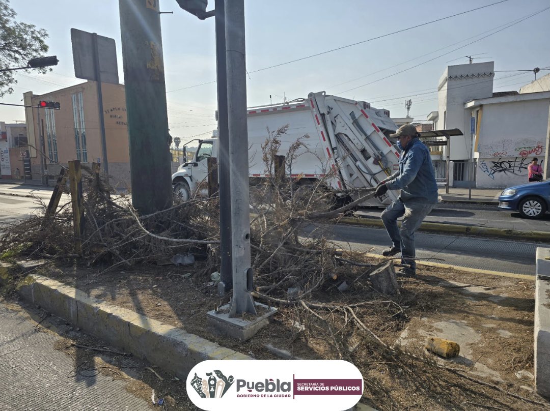 Servicios_Pub's tweet photo. ✅ En la Diagonal Defensores recolectamos el desecho vegetal de ramas en los camellones, dejándolo limpio como se merece nuestra #CapitalImparable. 💪✨

¡Seguimos trabajando para que Puebla luzca siempre de 10 🙌👷🏼‍♂️! https://t.co/LEIvjZPIy3