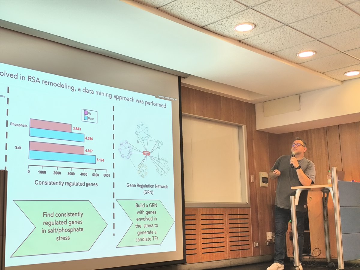 Continuando con el seminario: Hernán Grennet, del grupo de los Dres.  José Estevéz presenta su investigación  "Transcription Factors involved in root development under low phosphate and salt stress combined".