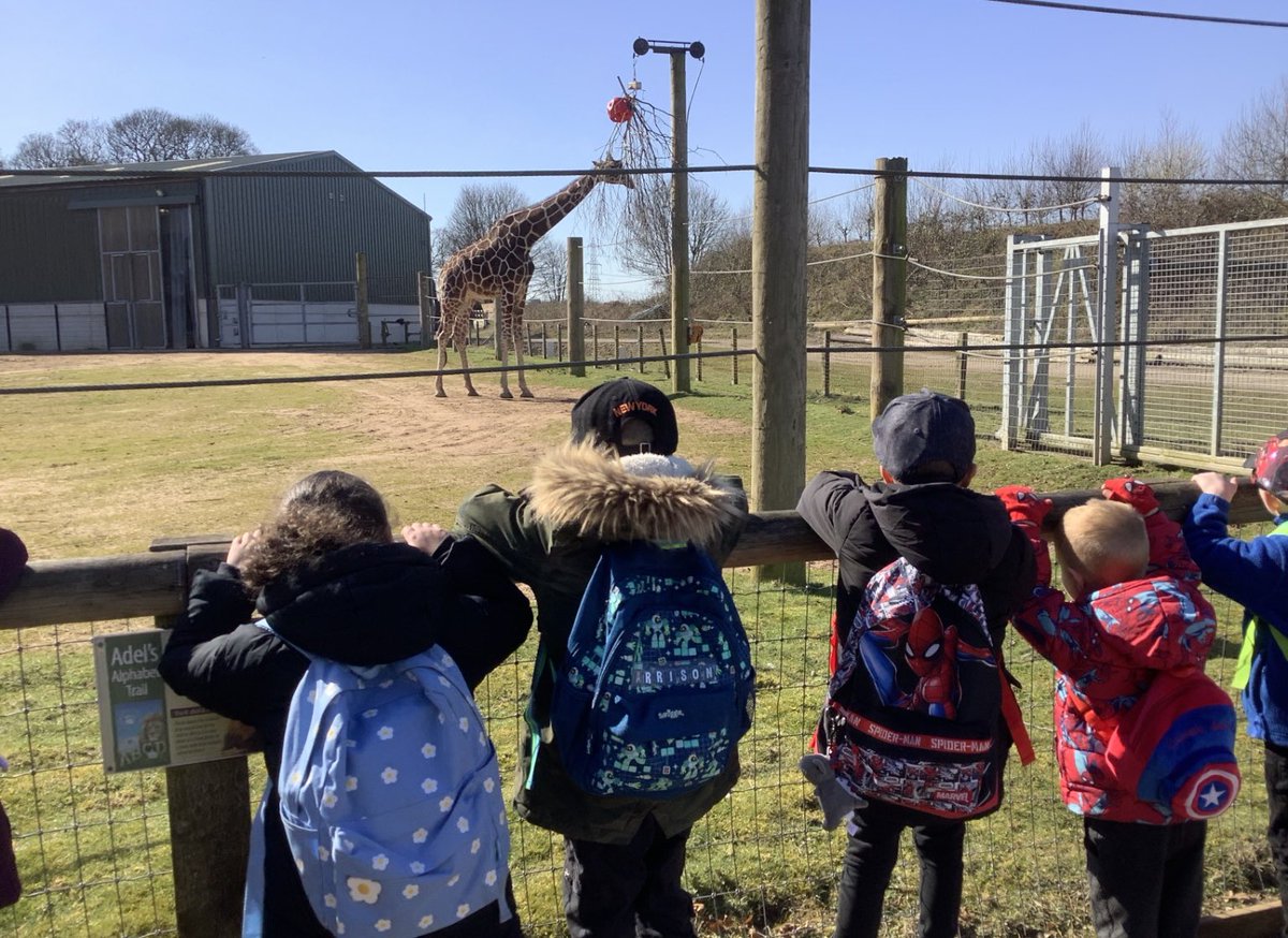 In Reception, we have been learning about where in the world we could explore such as the Arctic and the desert. On Tuesday 18th March, we went to Yorkshire Wildlife Park to see some of the animals that live in the desert and in the Arctic. We had such a brilliant day!