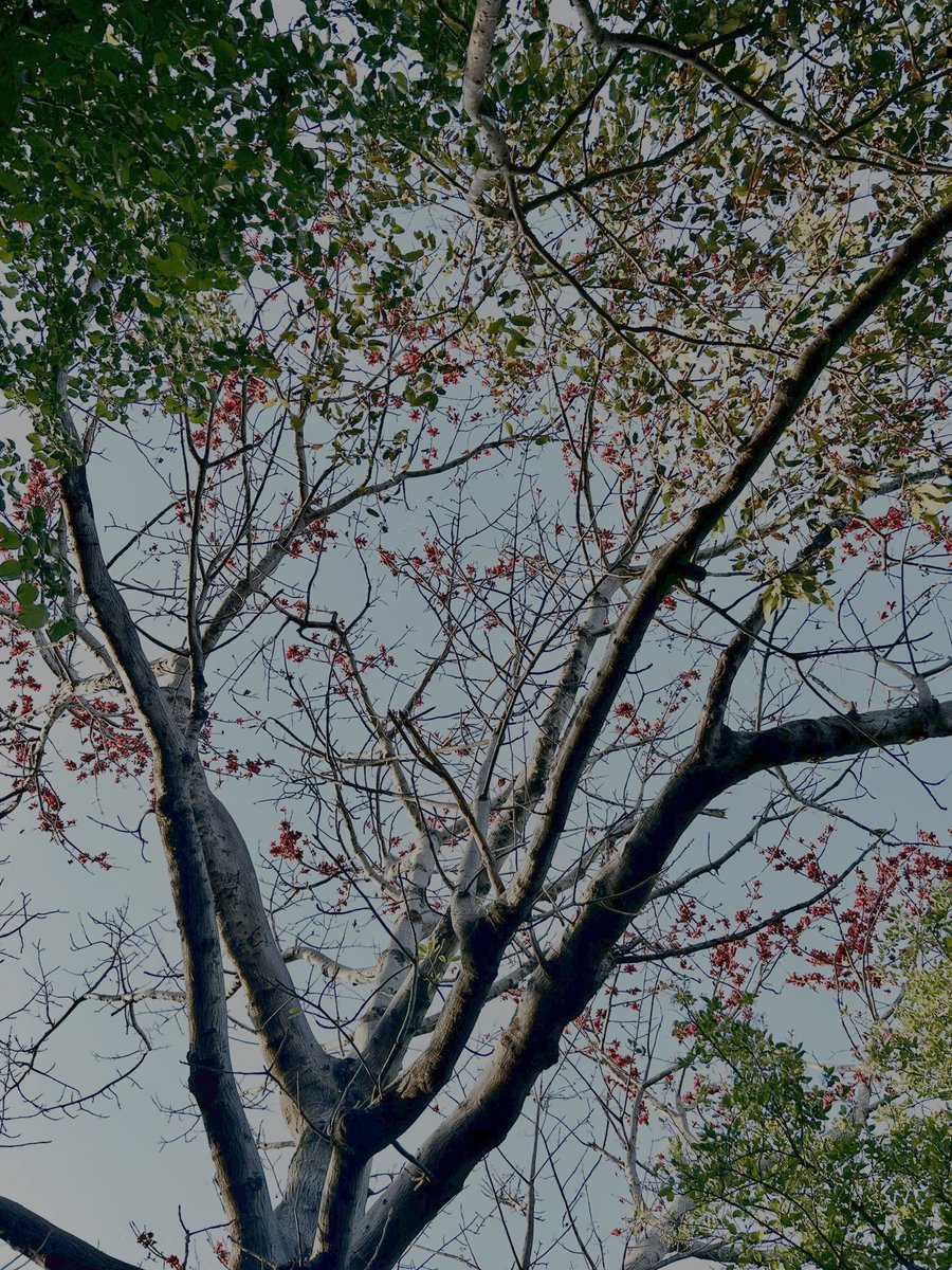 prashantPpande's tweet photo. "If you truly love nature, you will find beauty everywhere."
#NaturePhotography #beauty #offdays https://t.co/ezoBEFvWrs
