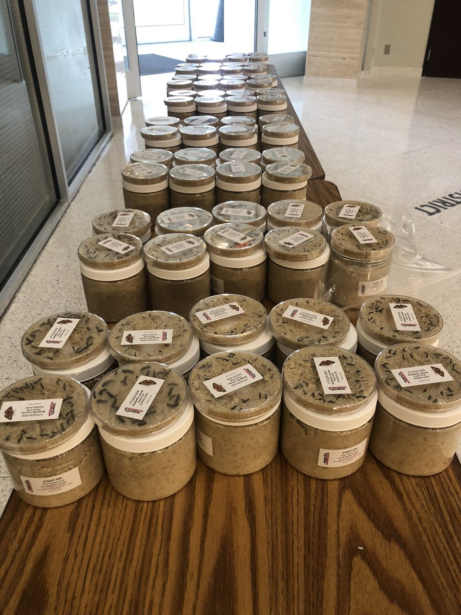 Butterflies are ready for pick up!!!